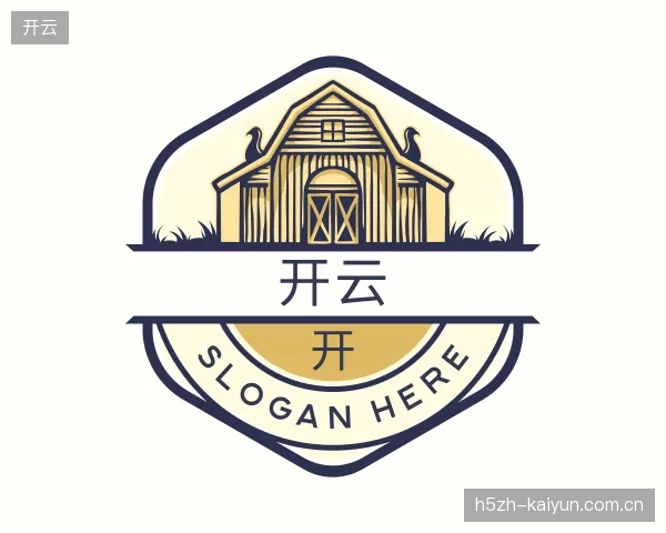 解读开云公司
